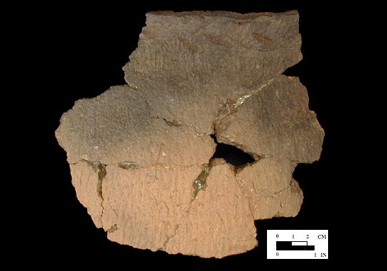 Shepard mended rim and body sherds from the Biggs Ford site 18FR14/116.113.